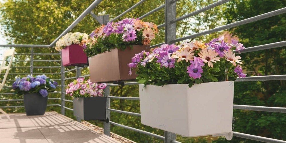 Деревянные ящики для цветов. Как украсить двор с помощью цветов в ящиках